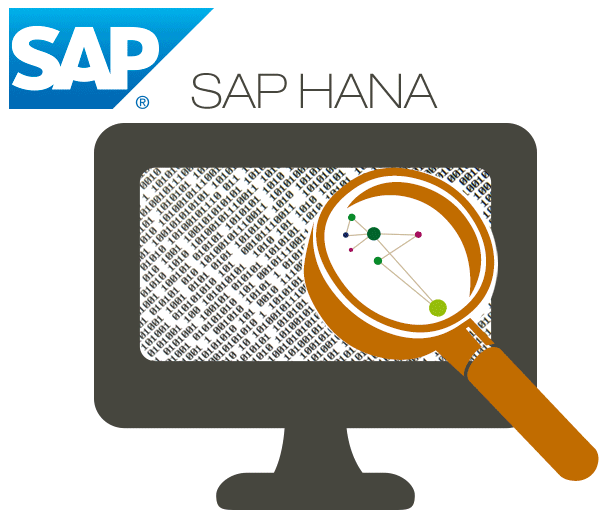SAP løsninger til større IT virksomheder